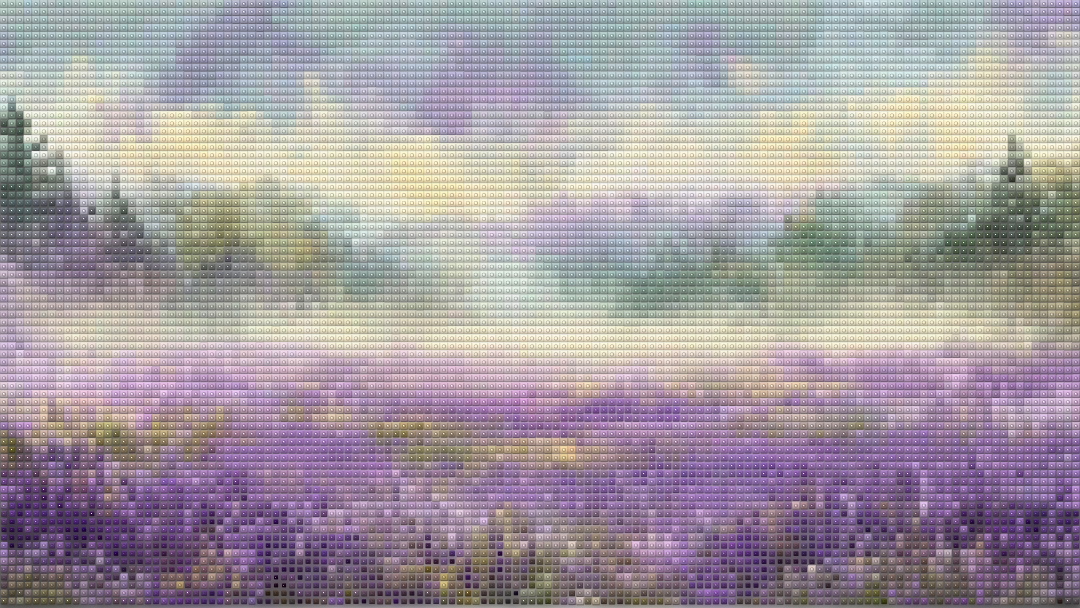 Wisteria